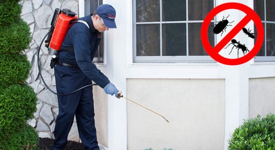 Basınsitesi Sivrisinek İlaçlama böcek ilaçlama ve haşere kontrolü — ilaclama-tr.com